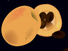 edito06
