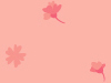 03-pfo
